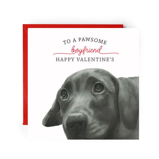 To A Pawsome Boyfriend Happy Valentines Greeting Card