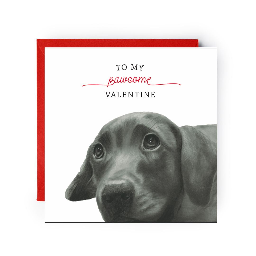 To A Pawsome Valentine Greeting Card