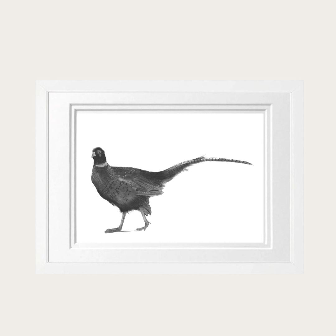 Pheasant Hand Drawn Print - Countryside Illustration