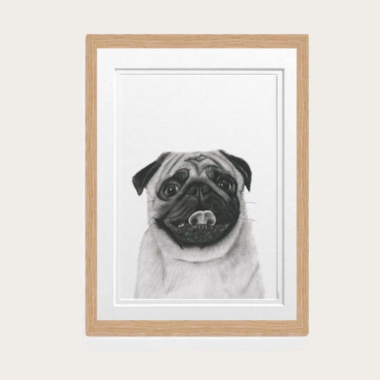 Hand Drawn Pug Fine Art Print