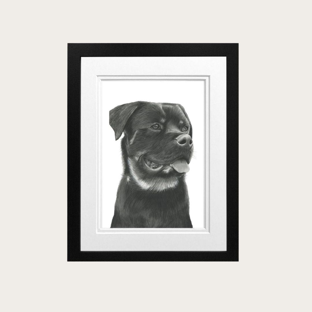 Rottweiler Fine Art Print – Hand-Drawn Dog Illustration