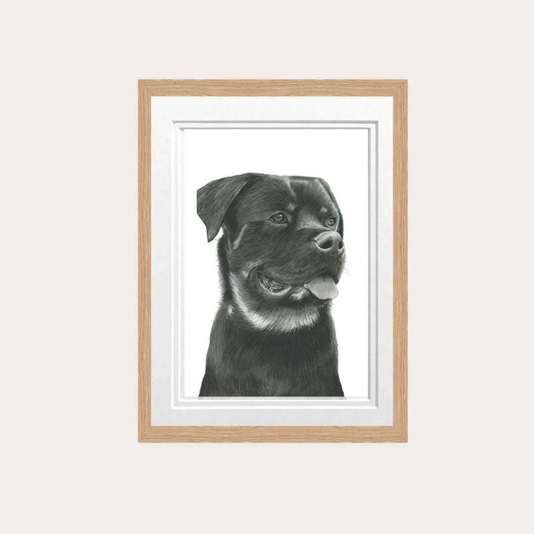 Rottweiler Fine Art Print – Hand-Drawn Dog Illustration