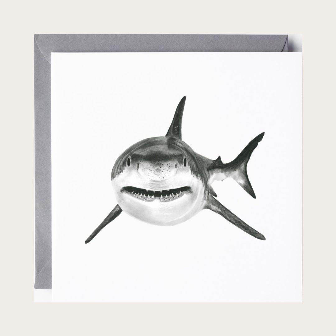 Vega the Shark Hand-Drawn Greeting Card – Marine Life Art Card