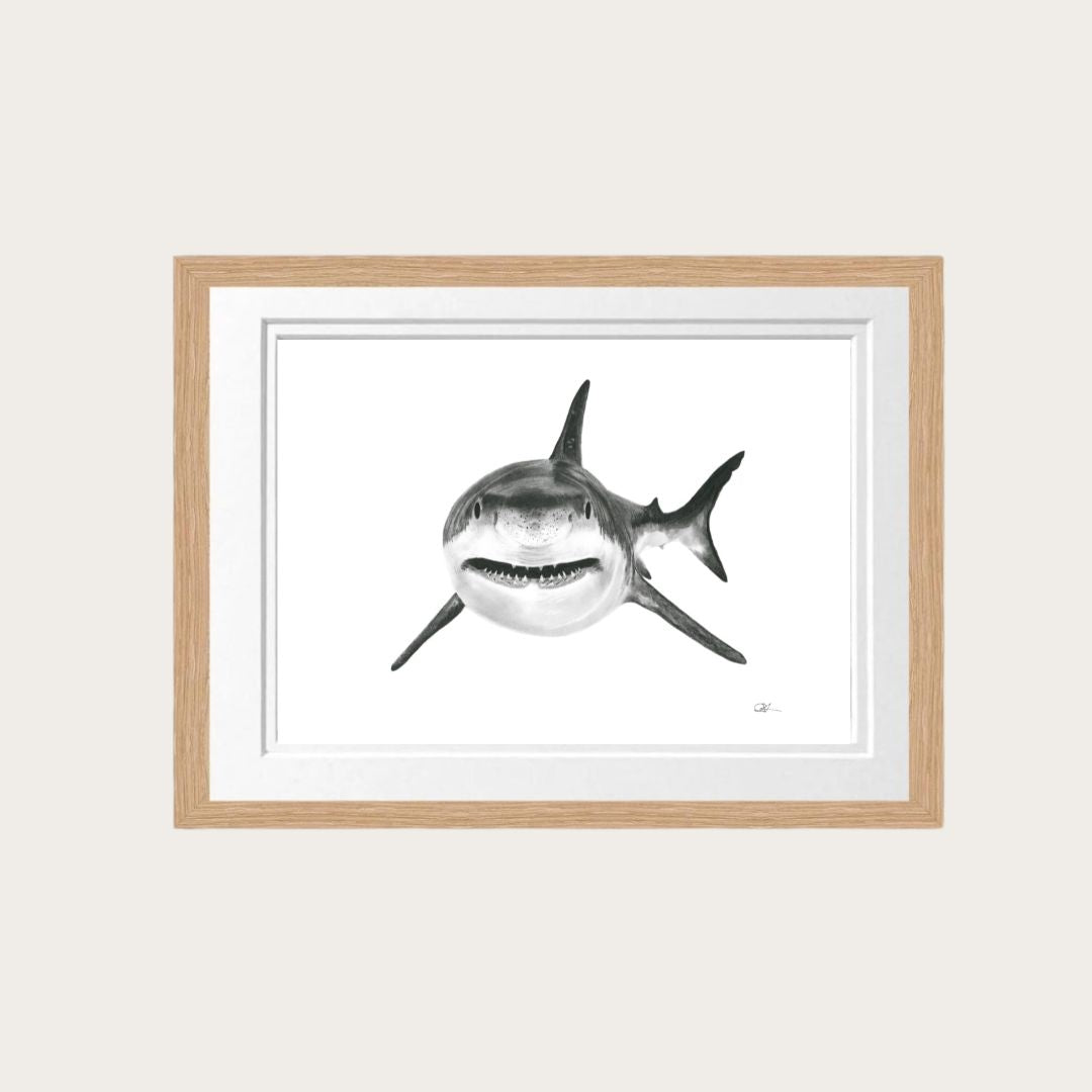 Shark Fine Art Print – Hand-Drawn Marine Wildlife Drawing