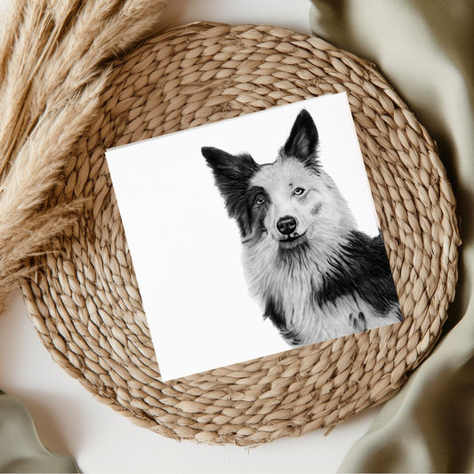 Willow the Sheepdog – Surrey Search and Rescue Dog Greeting Card