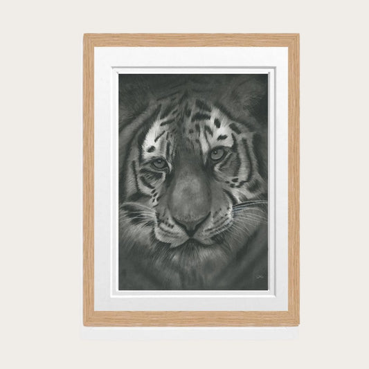 Tiger Fine Art Print