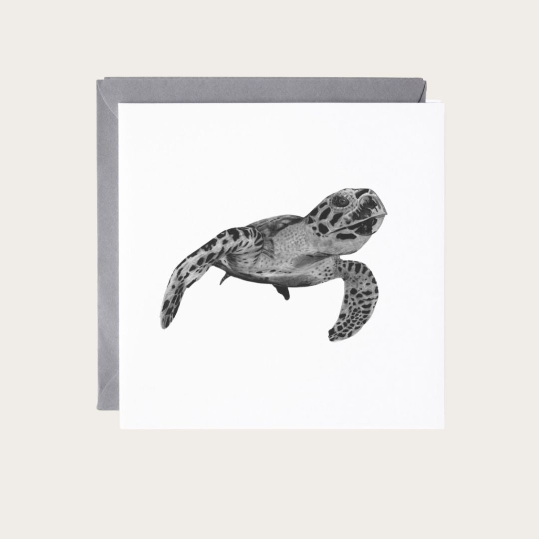 Heze The Turtle Hand Drawn Greeting Card