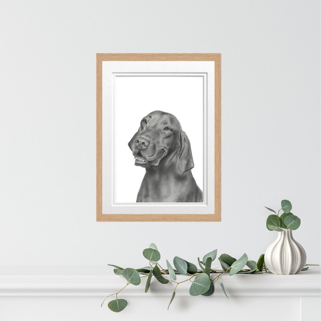 Vizsla Fine Art Print – Hand-Drawn Dog Illustration