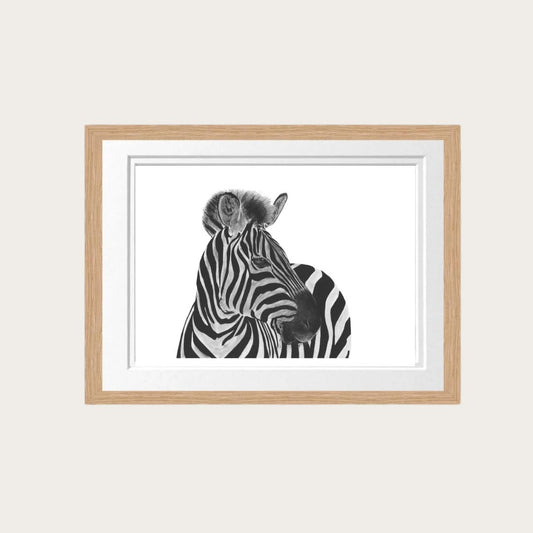 Capella the Zebra Fine Art Print – Striking Hand-Drawn Wildlife Illustration