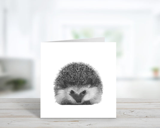 A Hand Drawn Hedgehog Greeting Card From Libra Fine Arts. Hand-drawn hedgehog greeting card featuring an adorable illustration, perfect as a birthday card for hedgehog lovers