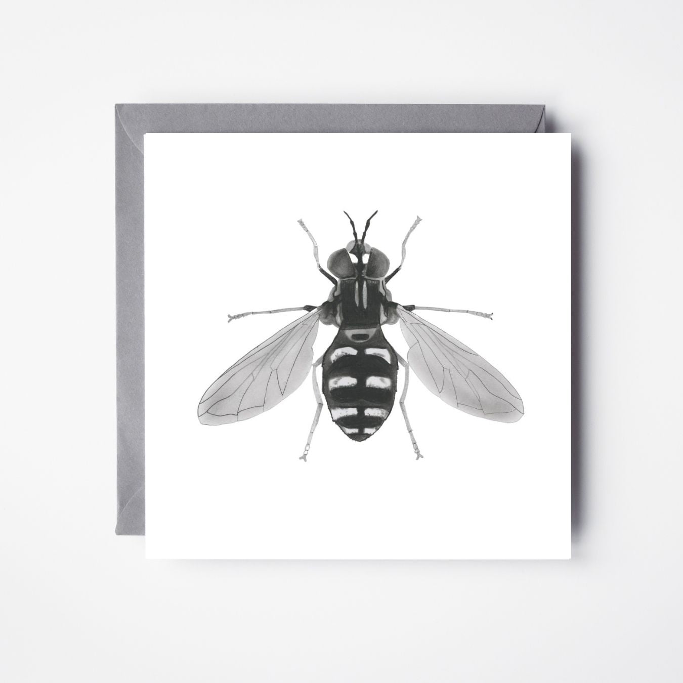 A Hand Drawn Hover fly Greeting Card From Libra Fine Arts. Hand-drawn hoverfly greeting card, featuring a detailed illustration. Perfect for birthdays or general messages, with a portion of proceeds donated to the Royal Entomological Society.