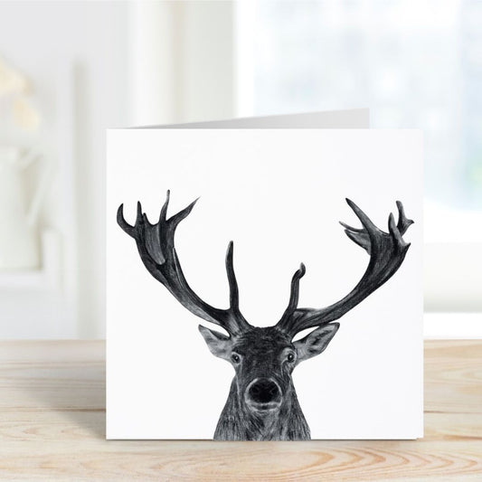 A Hand Drawn Stag Greeting Card From Libra Fine Arts. Hand-drawn stag greeting card featuring a detailed illustration of a majestic stag, perfect for birthday celebrations."